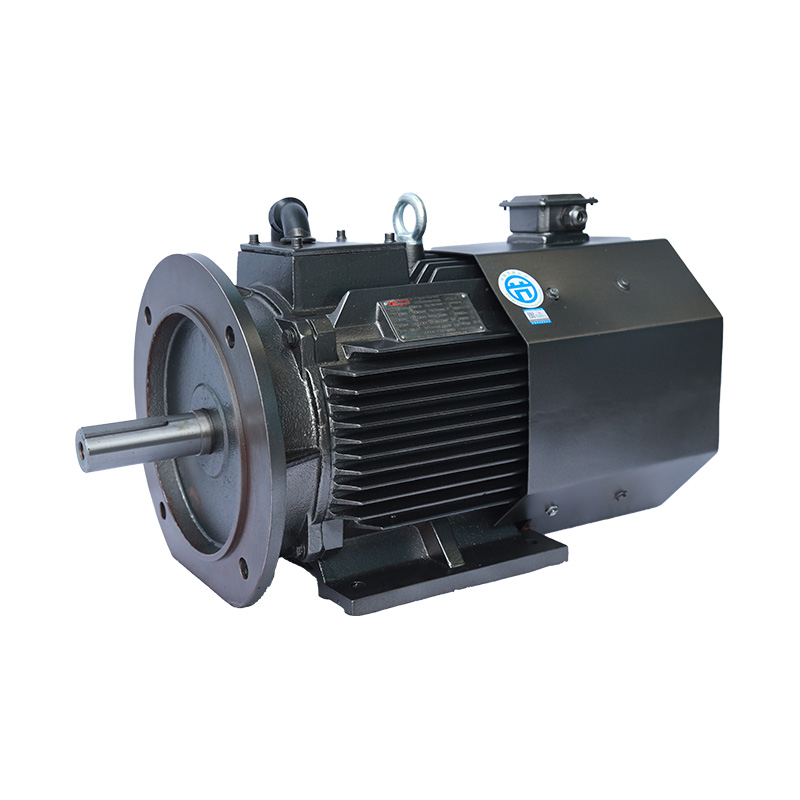 CMT Series Three-Phase Variable Frequency Permanent Magnet Synchronous Motor