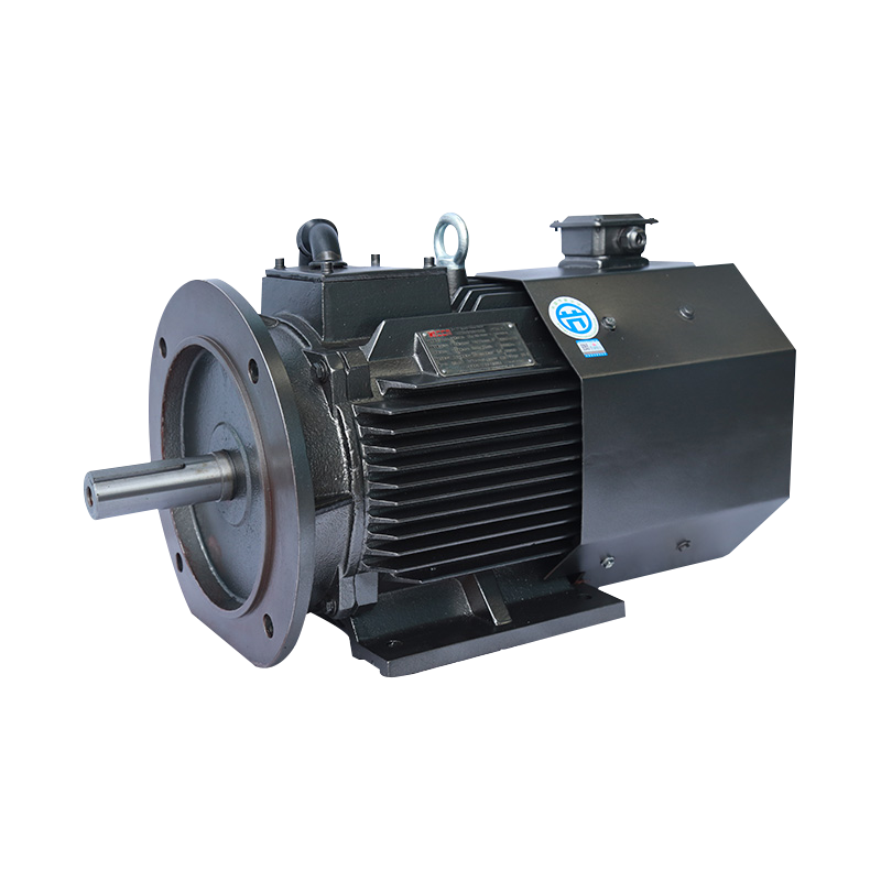 CMT Series Three-Phase Variable Frequency Permanent Magnet Synchronous Motor